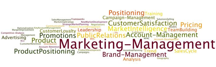 Marketing_Management_Themes