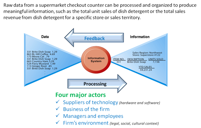 Analysing_Information_Data
