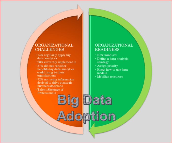 BigData_Adoption