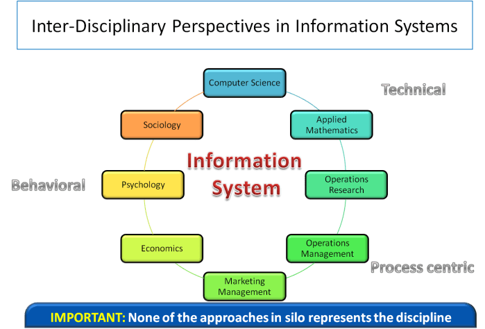 Information_Systems_Perspectives