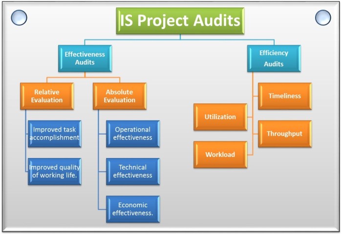 Information_Systems_Audits