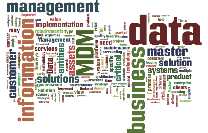 MDM_Master_Data_Management13