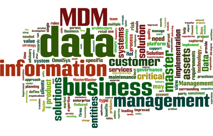 MDM_Master_Data_Management14