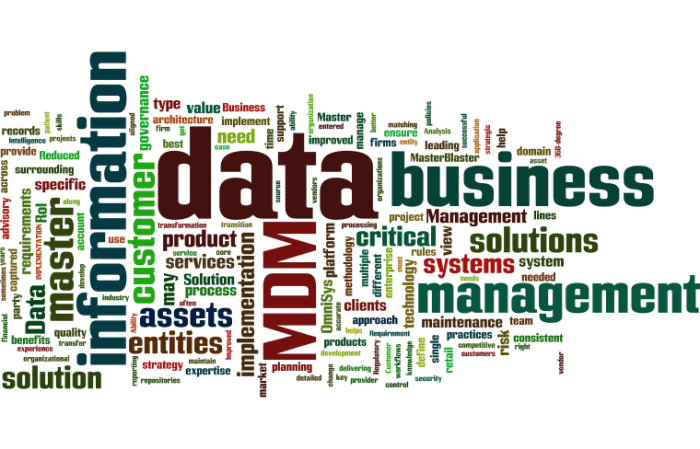 MDM_Master_Data_Management15