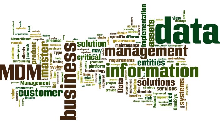 MDM_Master_Data_Management4