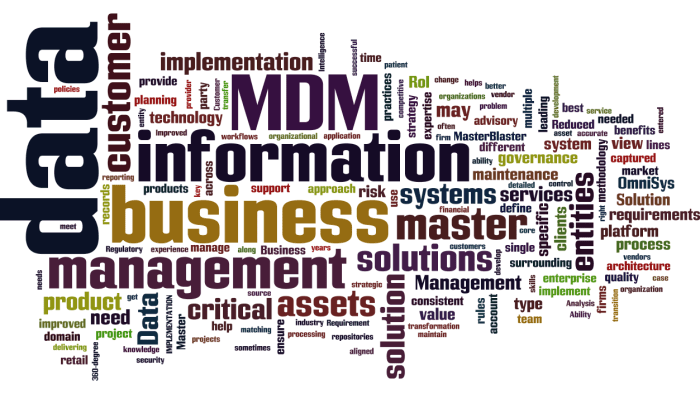 MDM_Master_Data_Management9