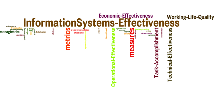 InformationSystems_Effectiveness_21