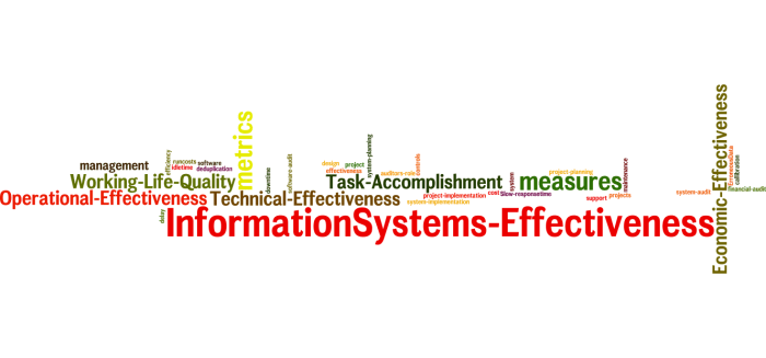 InformationSystems_Effectiveness_22