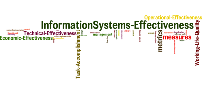 InformationSystems_Effectiveness_24