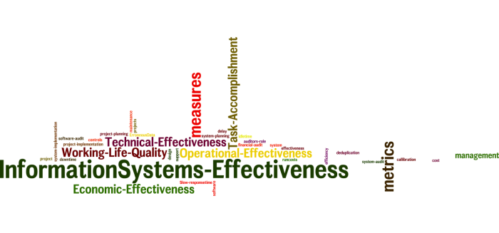 InformationSystems_Effectiveness_25