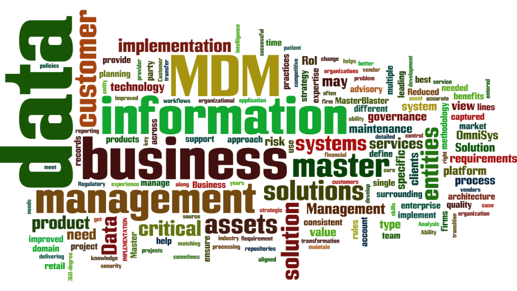 MasterDataManagement