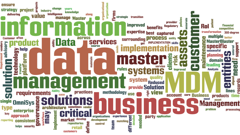 MasterDataManagement12
