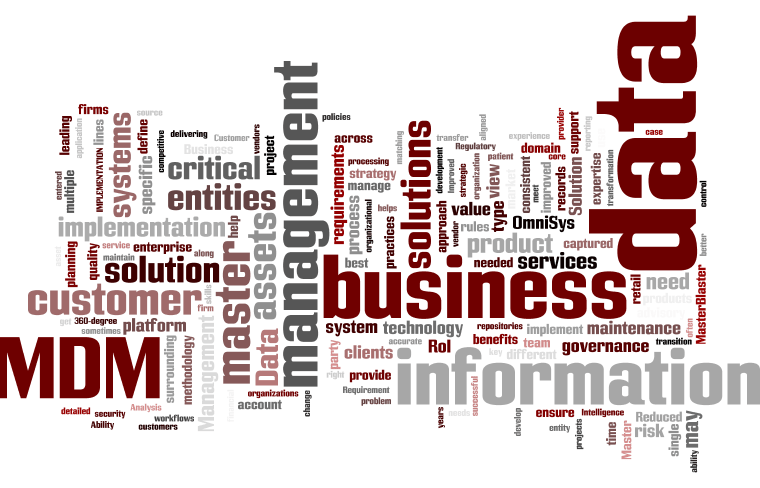 MasterDataManagement20