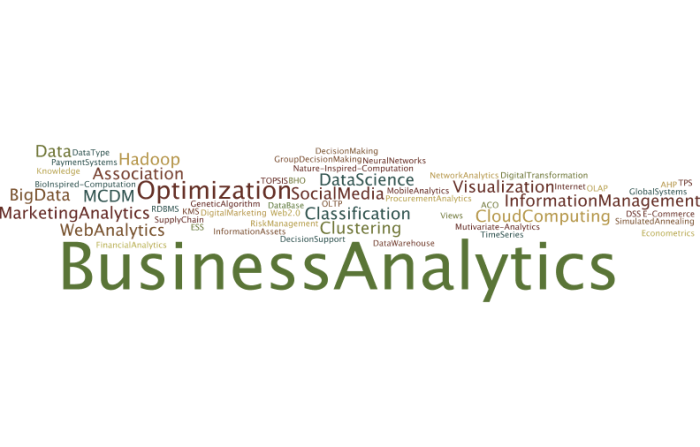 BusinessAnalytics5